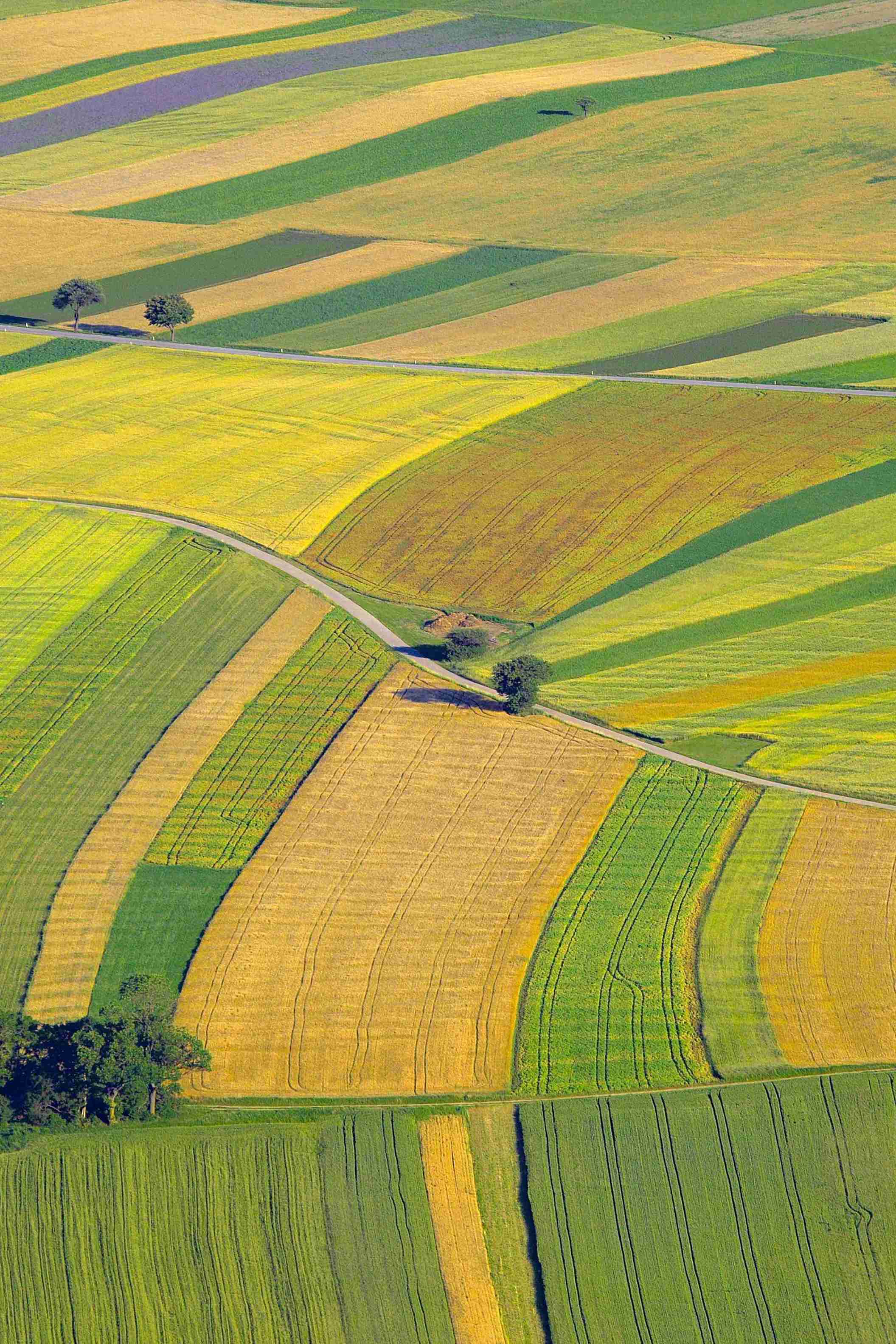 Agriculture